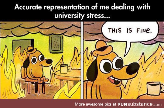University stress