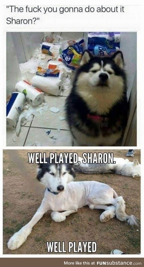 Sharon....No sharon