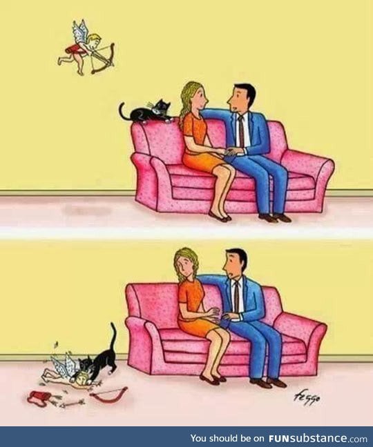 Why people with cats never find true love