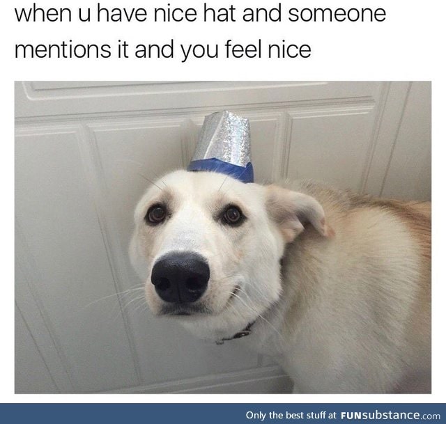 It's a nice hat and a nice doggo