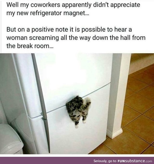 Cat magnet