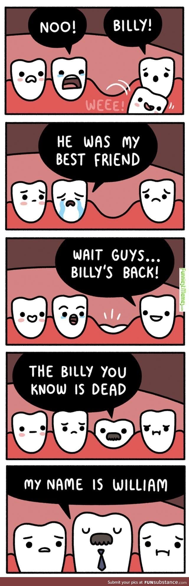 Adult teeth
