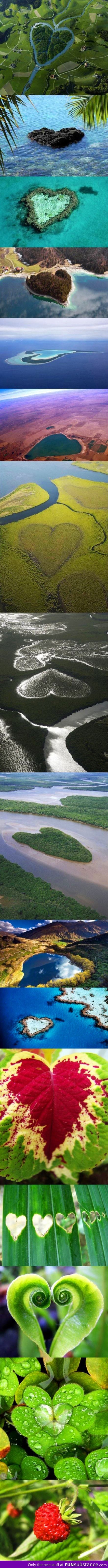 Heart shapes in nature