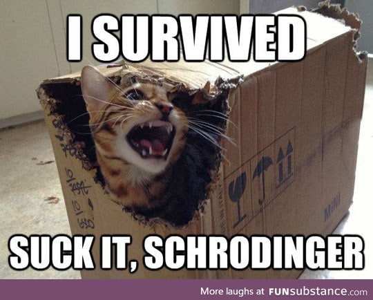 Schrodinger's Cat Final Results