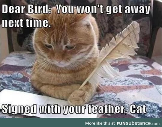 Dear birdy