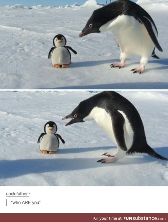 You are noot one of us!