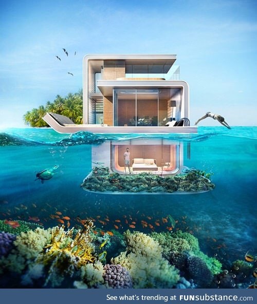 The Floating Seahorse - the first floating house in the world