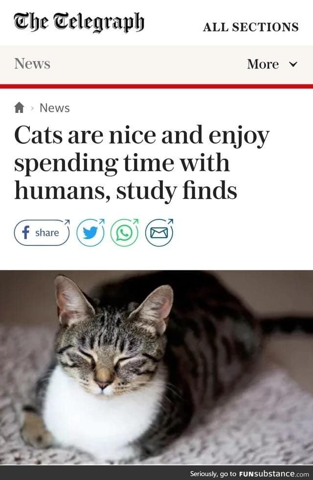 Finally some news we can all be happy to hear