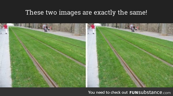 Identical photos illusion