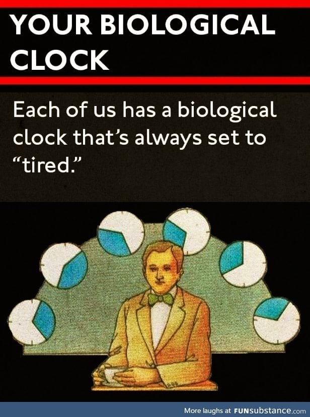 Biological clocks