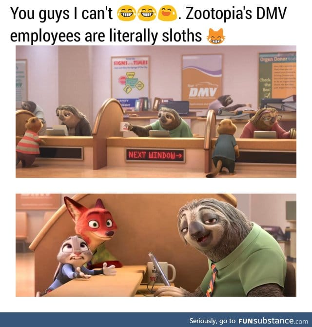 First time watching Zootopia