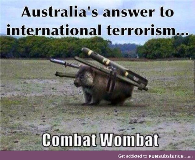 Stop turning wombats into weapons