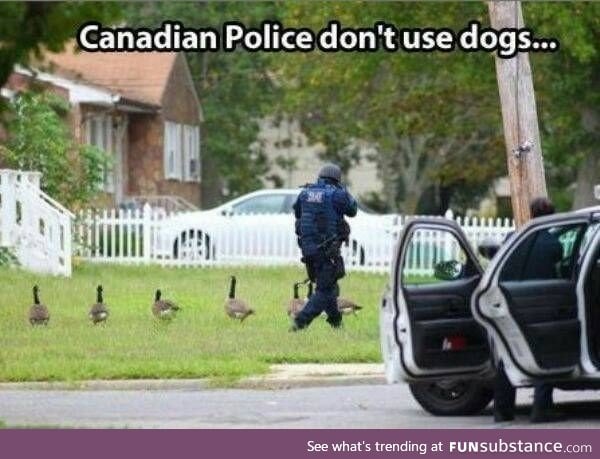 Silly canadians