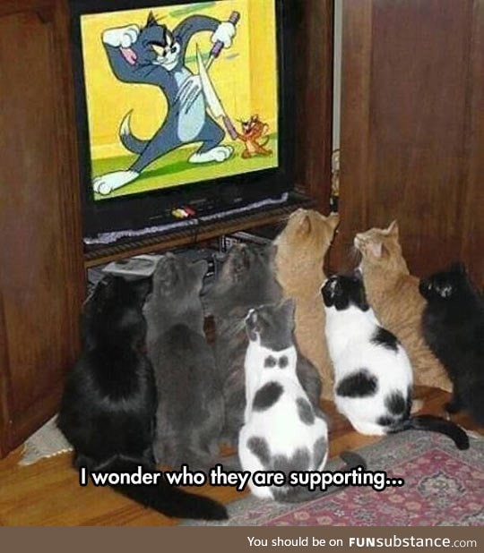 Tom and jerry fans