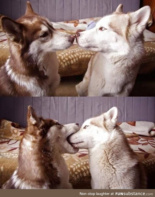  My first kiss went a little like this 
