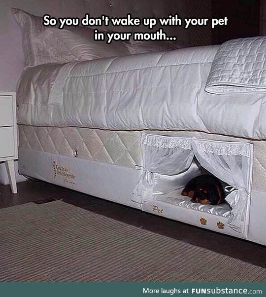 Bed with a place for your dog