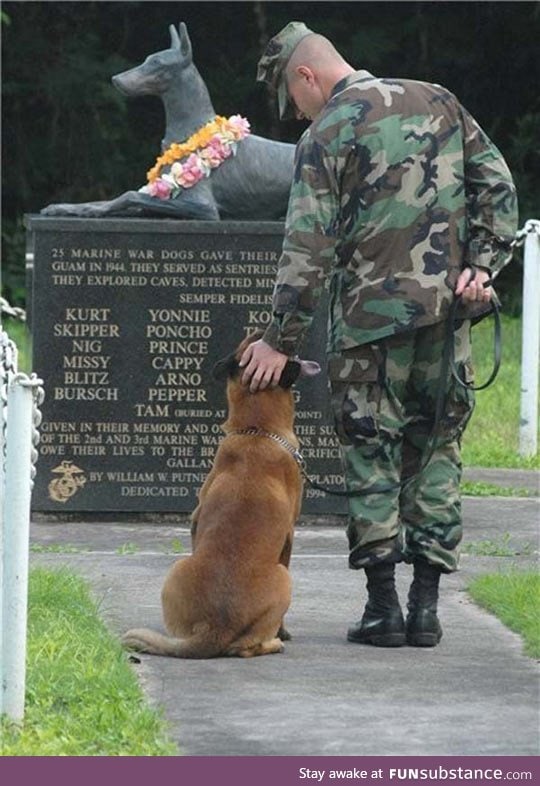 Taken At The US Marine's War Dog Memorial