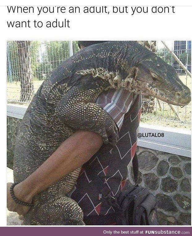 Let me be big lizard
