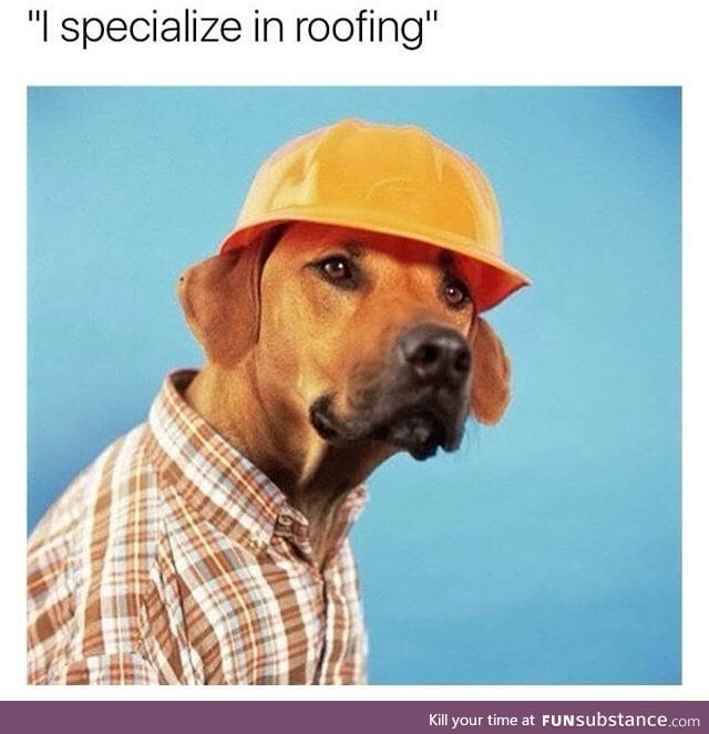 Dog specialty