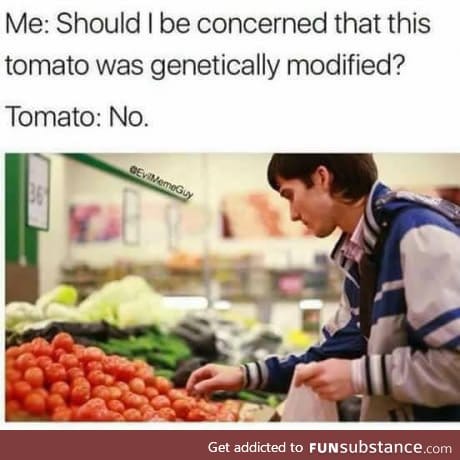 Should I be concerned about GMO tomatoes?