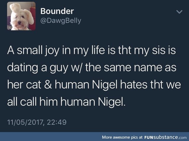 Cat 1 : Nigel 0