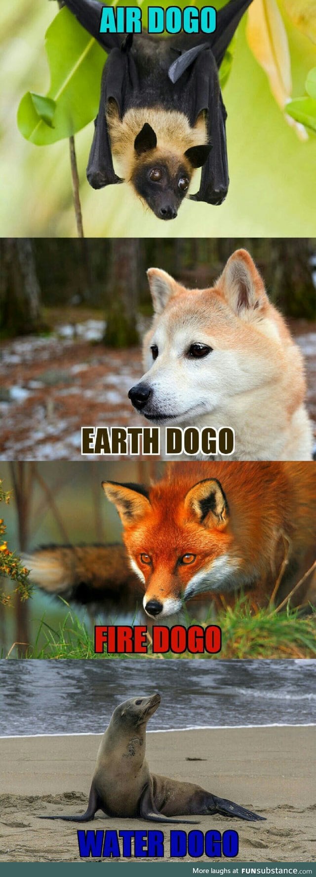 The element dogos