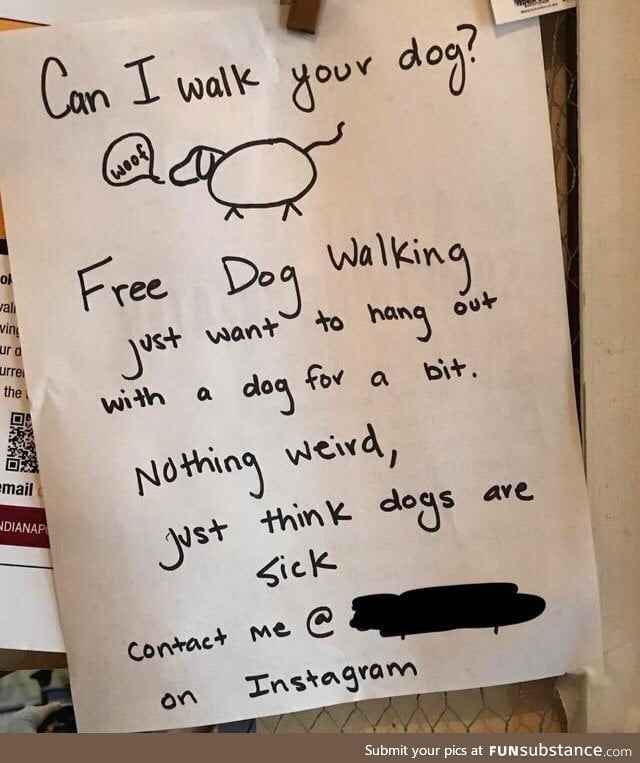 Doggos are wholesome