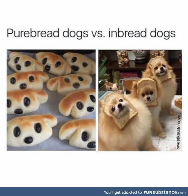What bread is that?