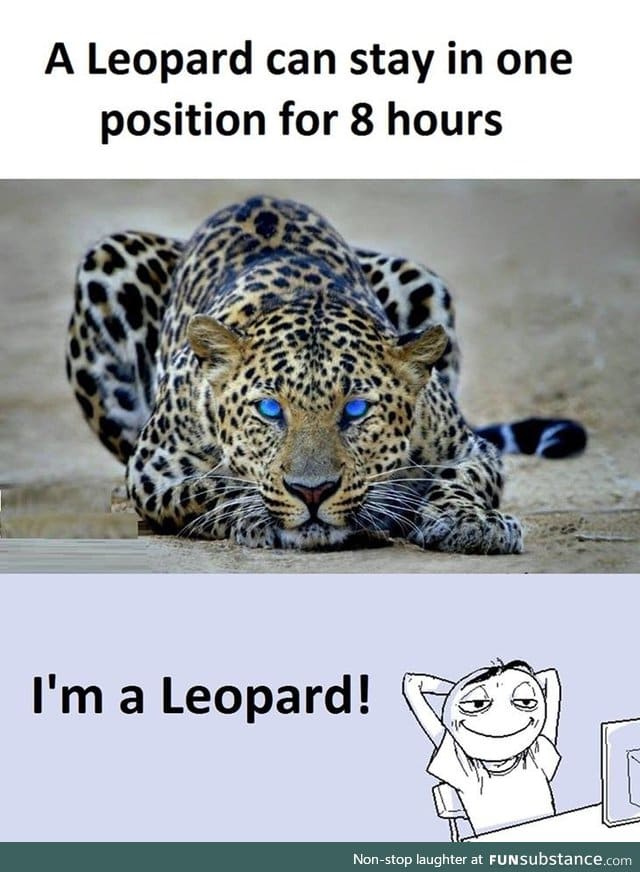 I am Leopard