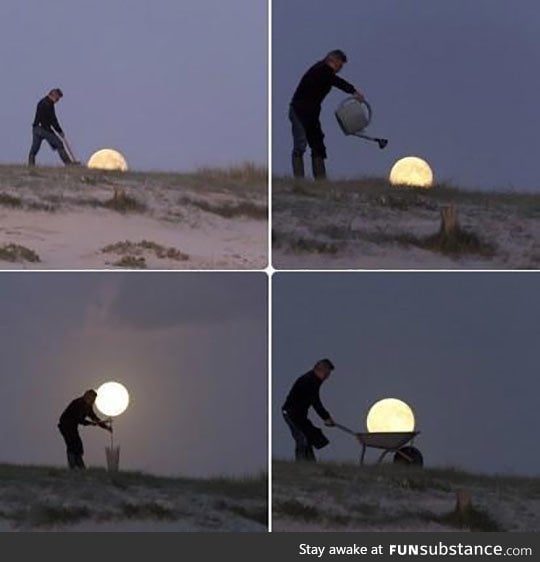 Harvesting the moon