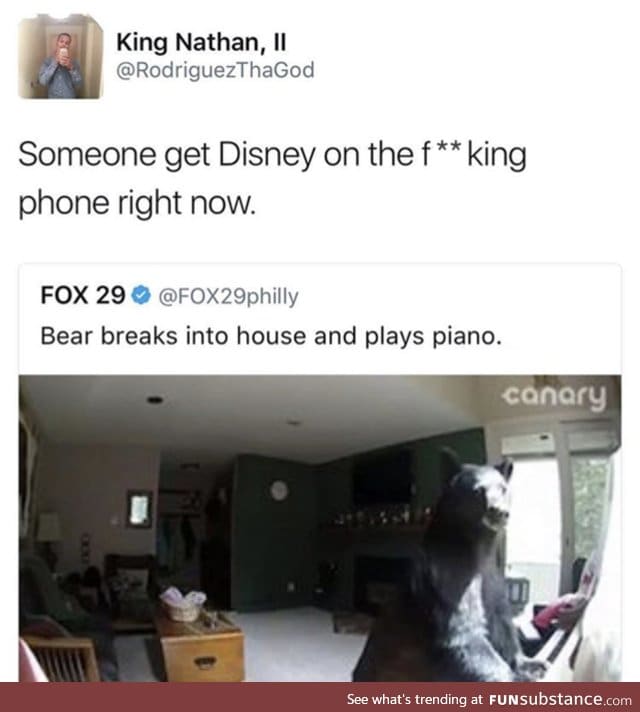 Disney just hired a bear