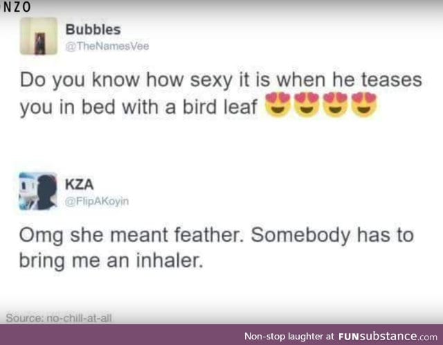 bird leaf hahahahah