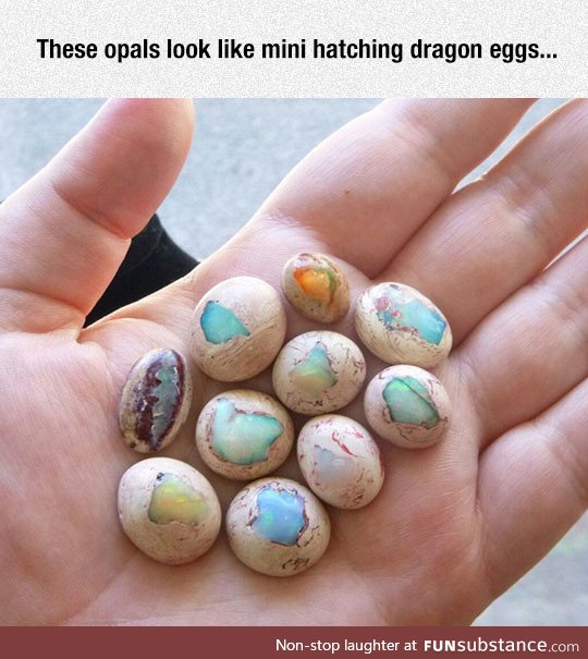 Mini dragon eggs