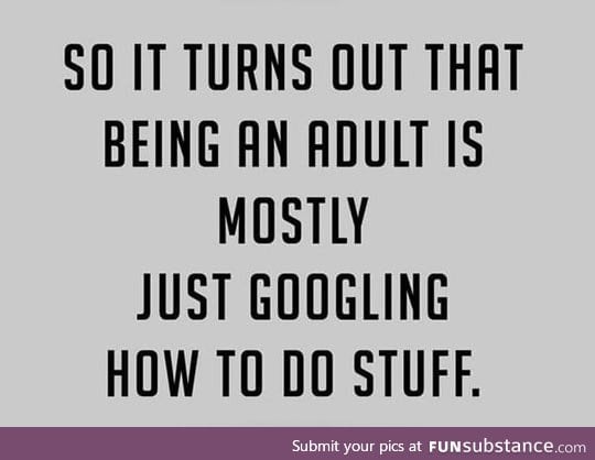 What being an adult is like