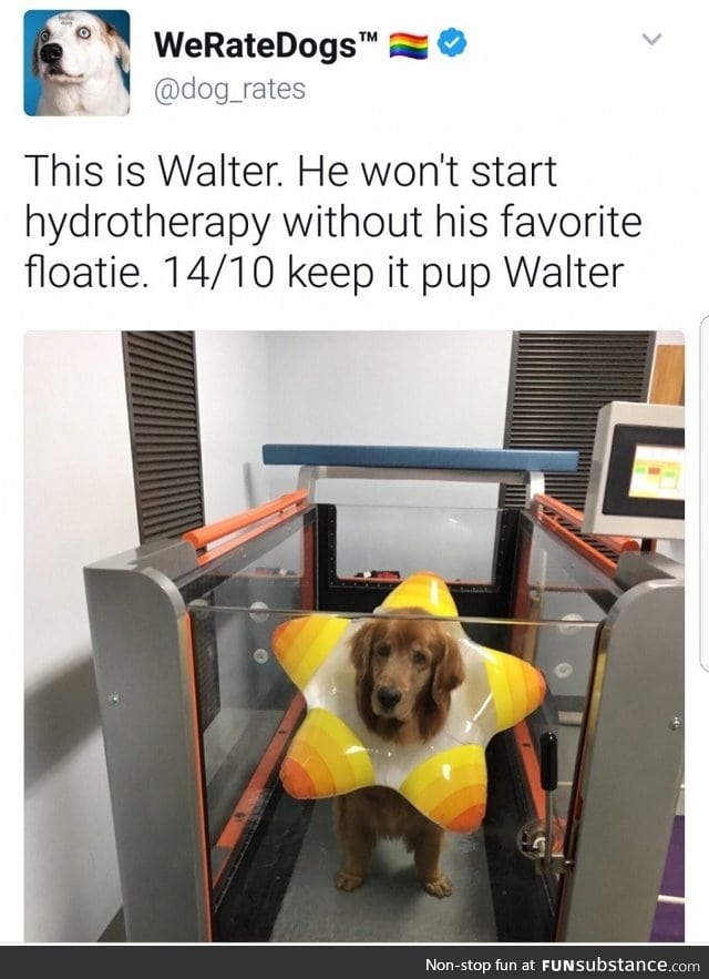 Walter is adorable