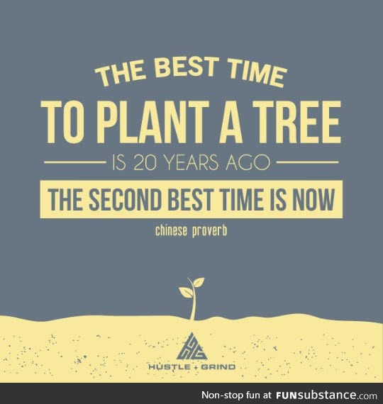 Best time to plant a tree