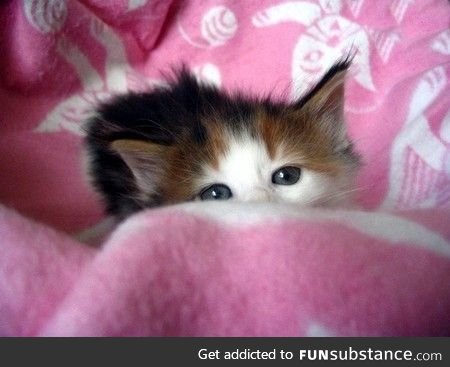 Who disturbs my tiny slumbers?