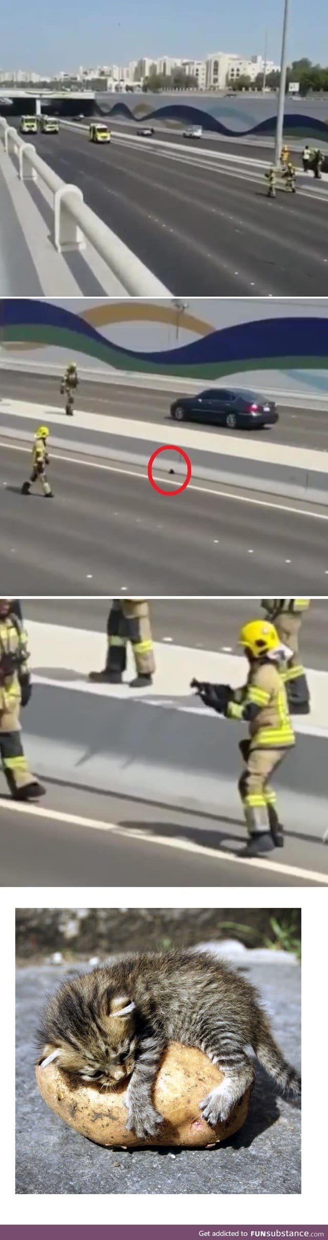 Abu Dhabi fire-department blocked the highway to rescue a cat