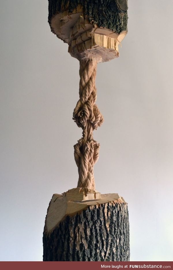 A frayed rope carved into a tree trunk