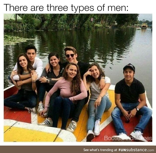 Which are you