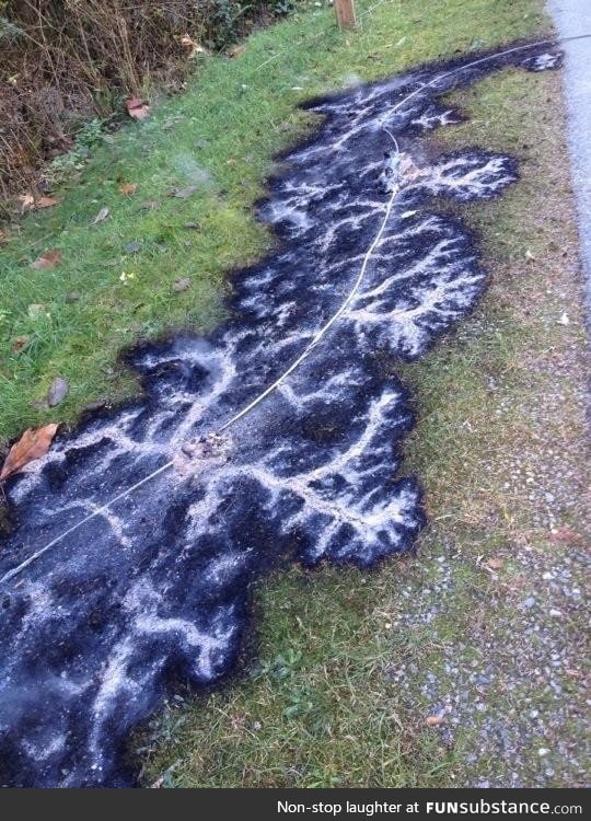 Burned pattern from a downed electrical line