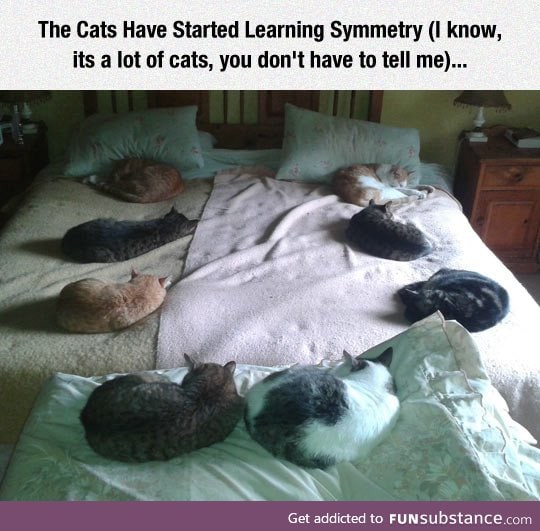 Learning symmetry