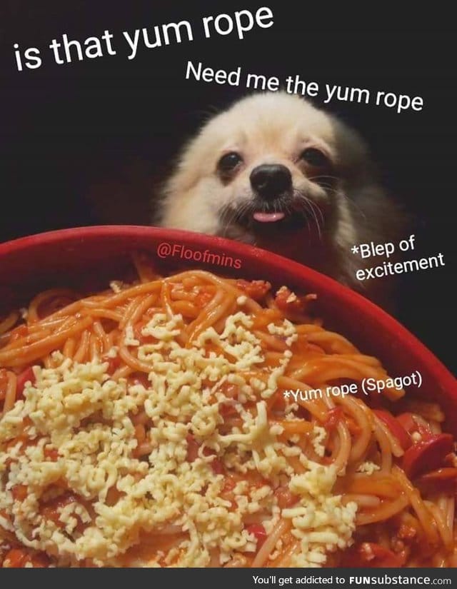 give the puppo the yum rope!