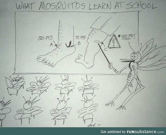 What mosquitos learn at school