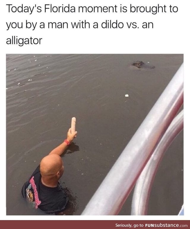 Florida ma  vs alligator