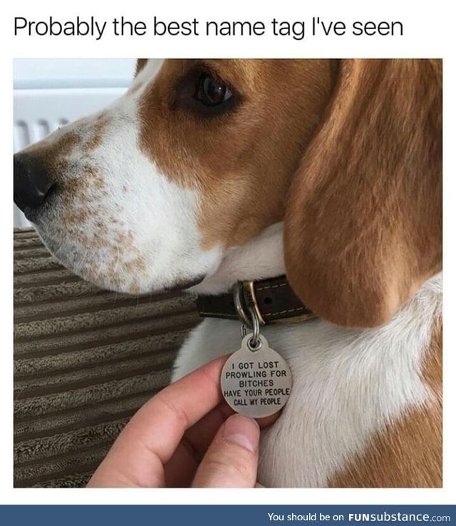 Best dog tag