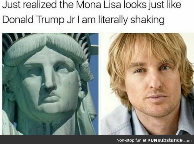 Statue of Liberty is modeled after Owen Wilson