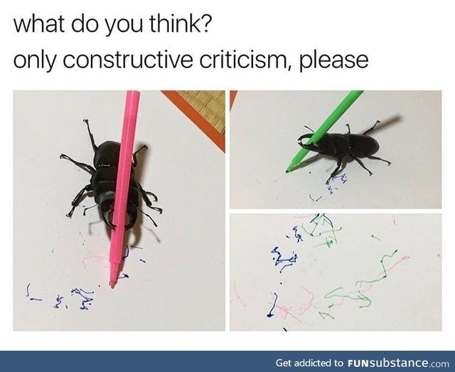 Artistic beetle