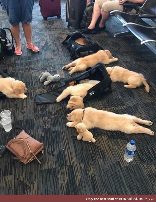 The best thing to happen in an airport, ever
