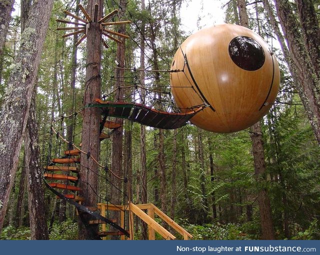 Suspended Eye Hotel in the rainforest